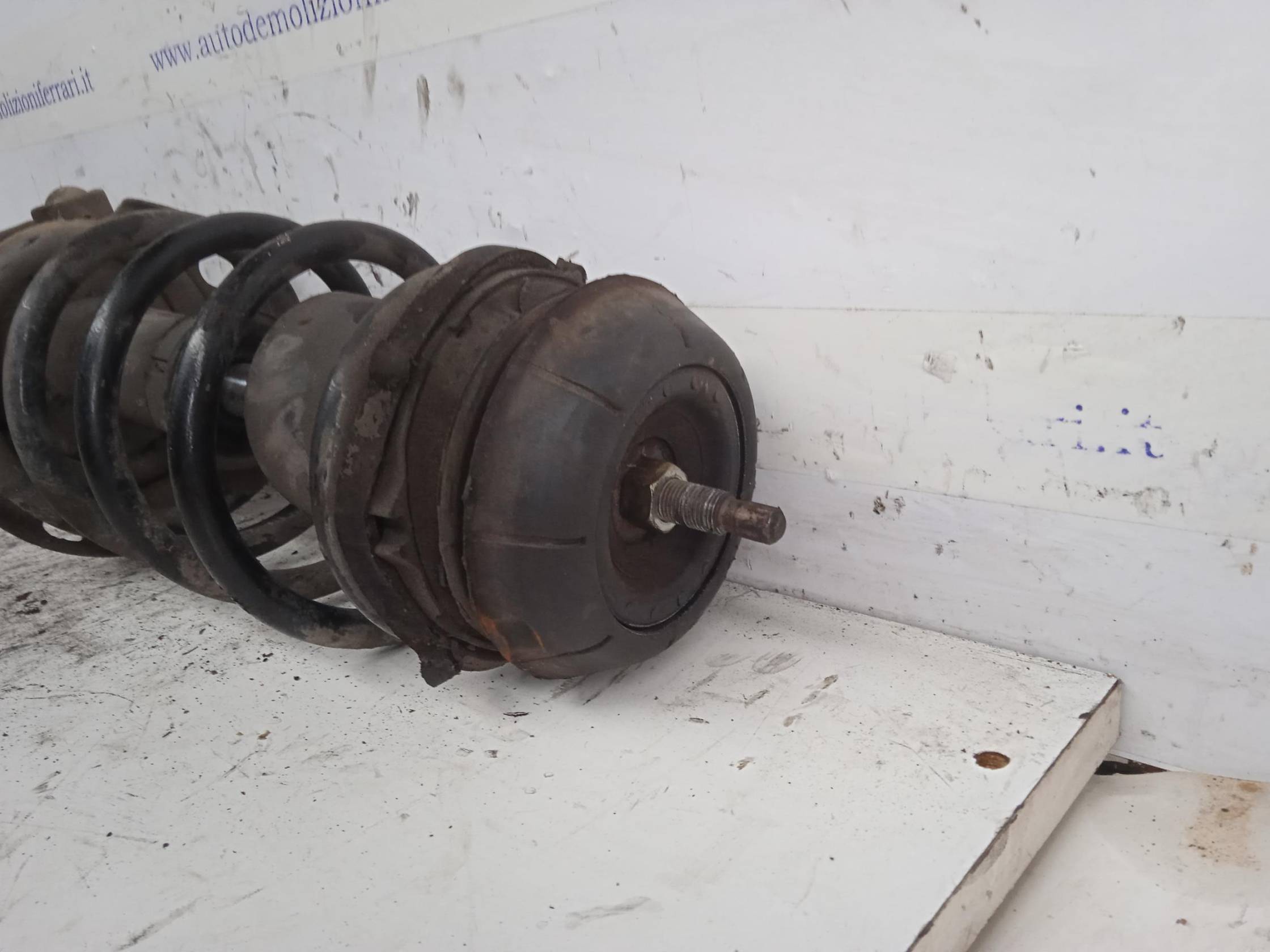 Ammortizzatore ant. sx.